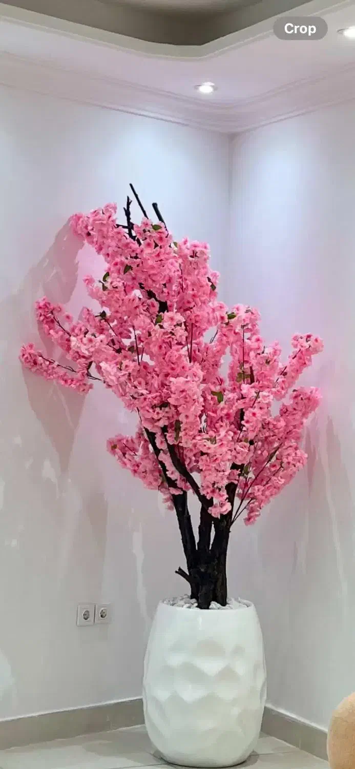 شکوفه و گل شاخه ای|گل مصنوعی|گرگان, |دیوار