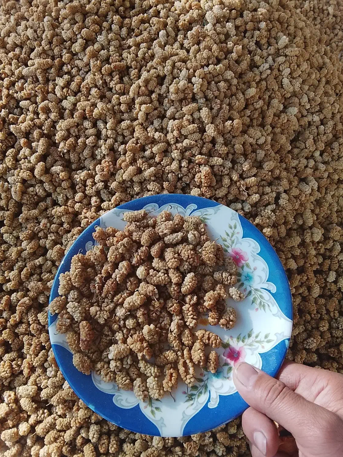 توت خشک درجه یک|خوردنی و آشامیدنی|نیر (یزد), |دیوار