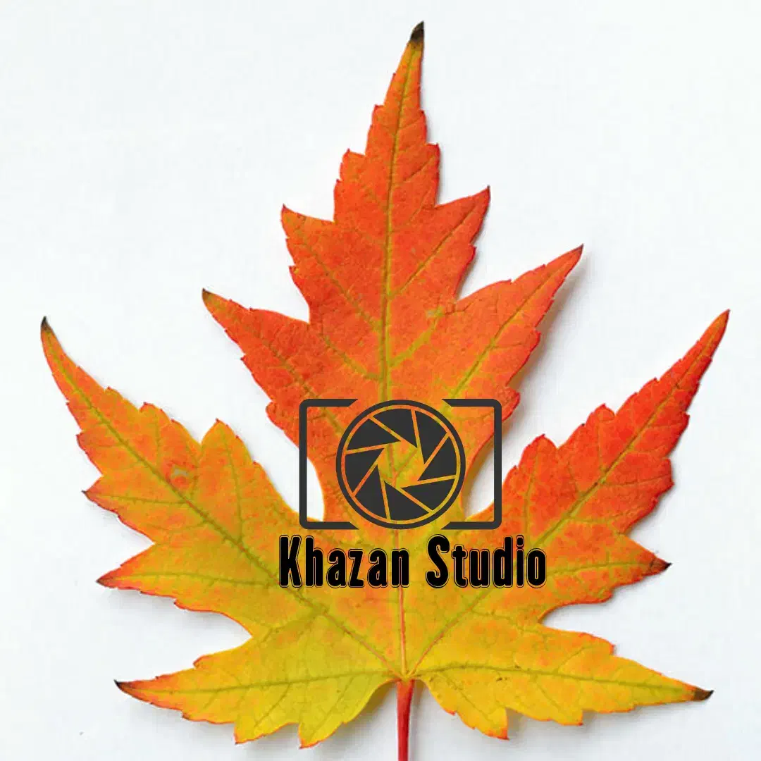 ساخت کلیپ|استخدام هنری و رسانه|بوشهر, |دیوار