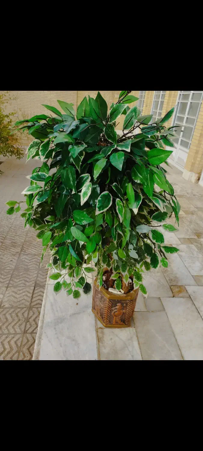 درختچه مصنوعی|صنایع دستی و سایر لوازم تزئینی|حمیدیا, |دیوار