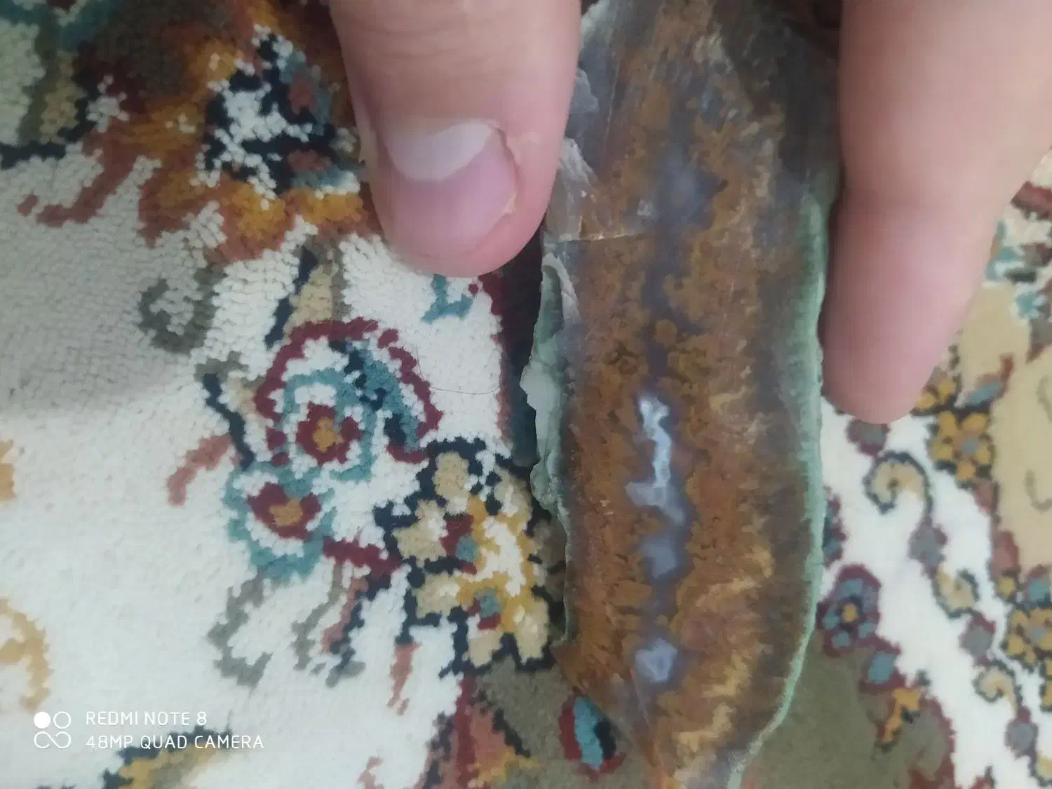 سنگ شجر|جواهرات|سنندج, |دیوار