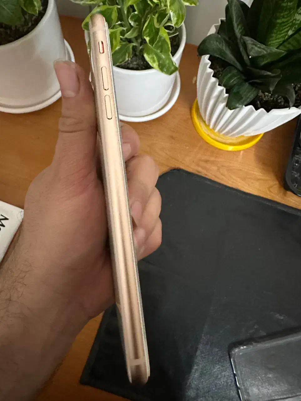 گوشی آیفون 8 plus|موبایل|اصفهان, وحید|دیوار