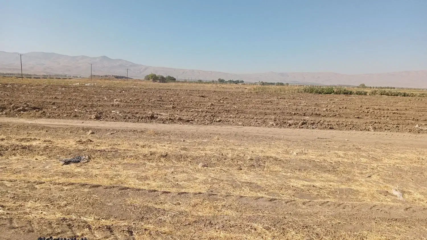 اجاره زمین|اجارهٔ دفتر صنعتی، کشاورزی، تجاری|سامن, |دیوار