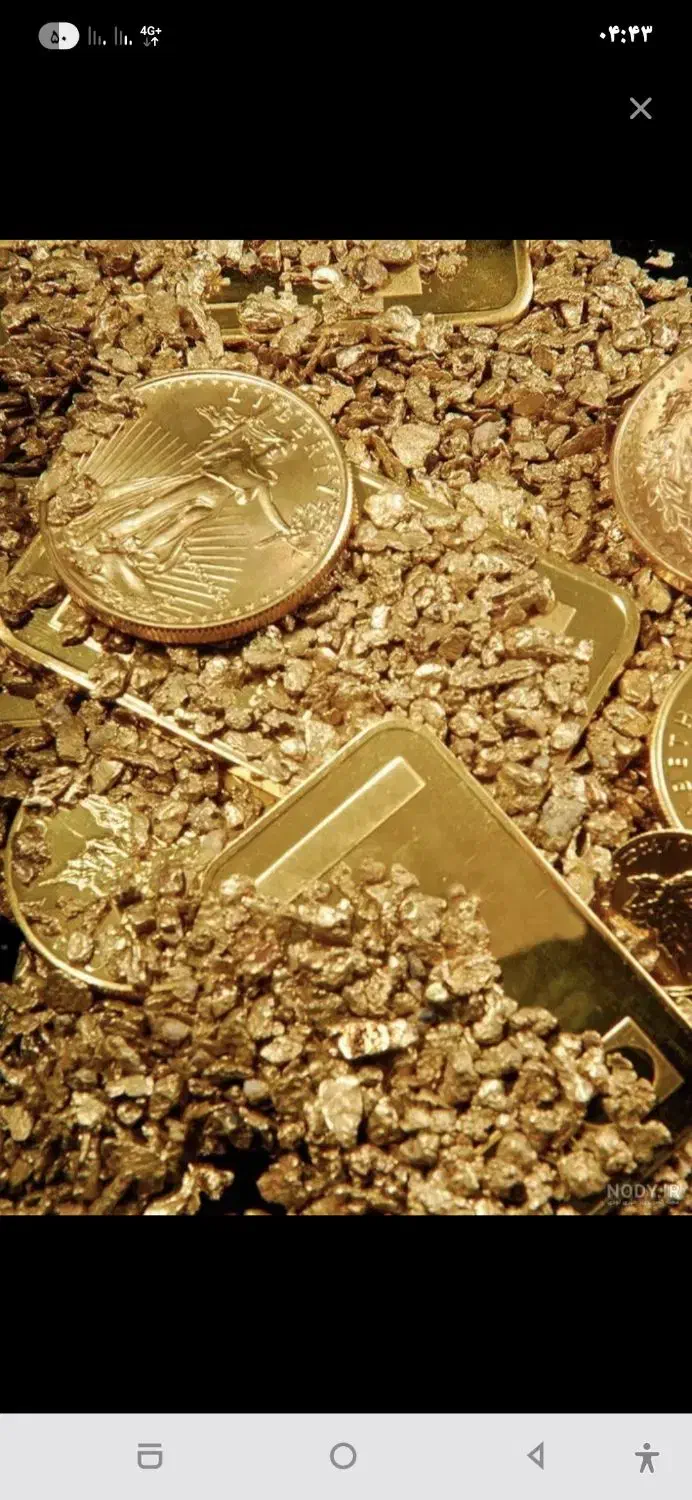 طلا پیدا شده|اشیا|بوشهر, |دیوار