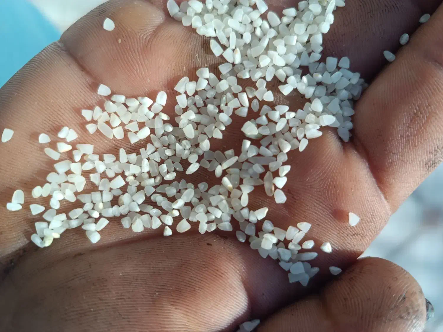 خورده برنج وبرنج کامفیروزی ارگانیک|خوردنی و آشامیدنی|کر, |دیوار