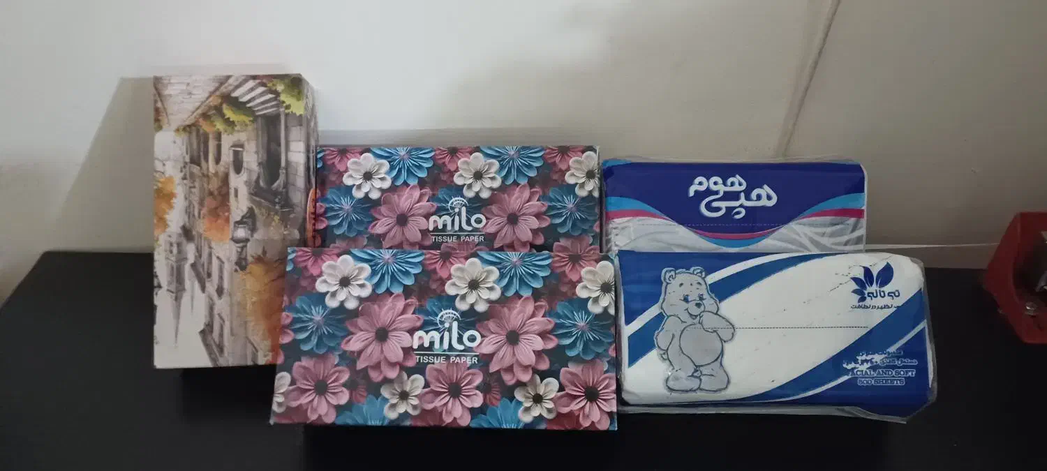 دسمال کاغذی|مواد شوینده و دستمال کاغذی|مشهد, نظام دوست|دیوار