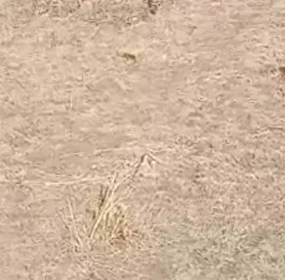 خرده کاری کاشی،کاشی کاری ساختمان حتی چند متر|خدمات پیشه و مهارت|مرند, |دیوار