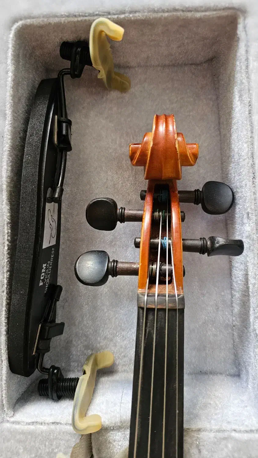 ویولن tf 142|ویولن|کرمان, |دیوار