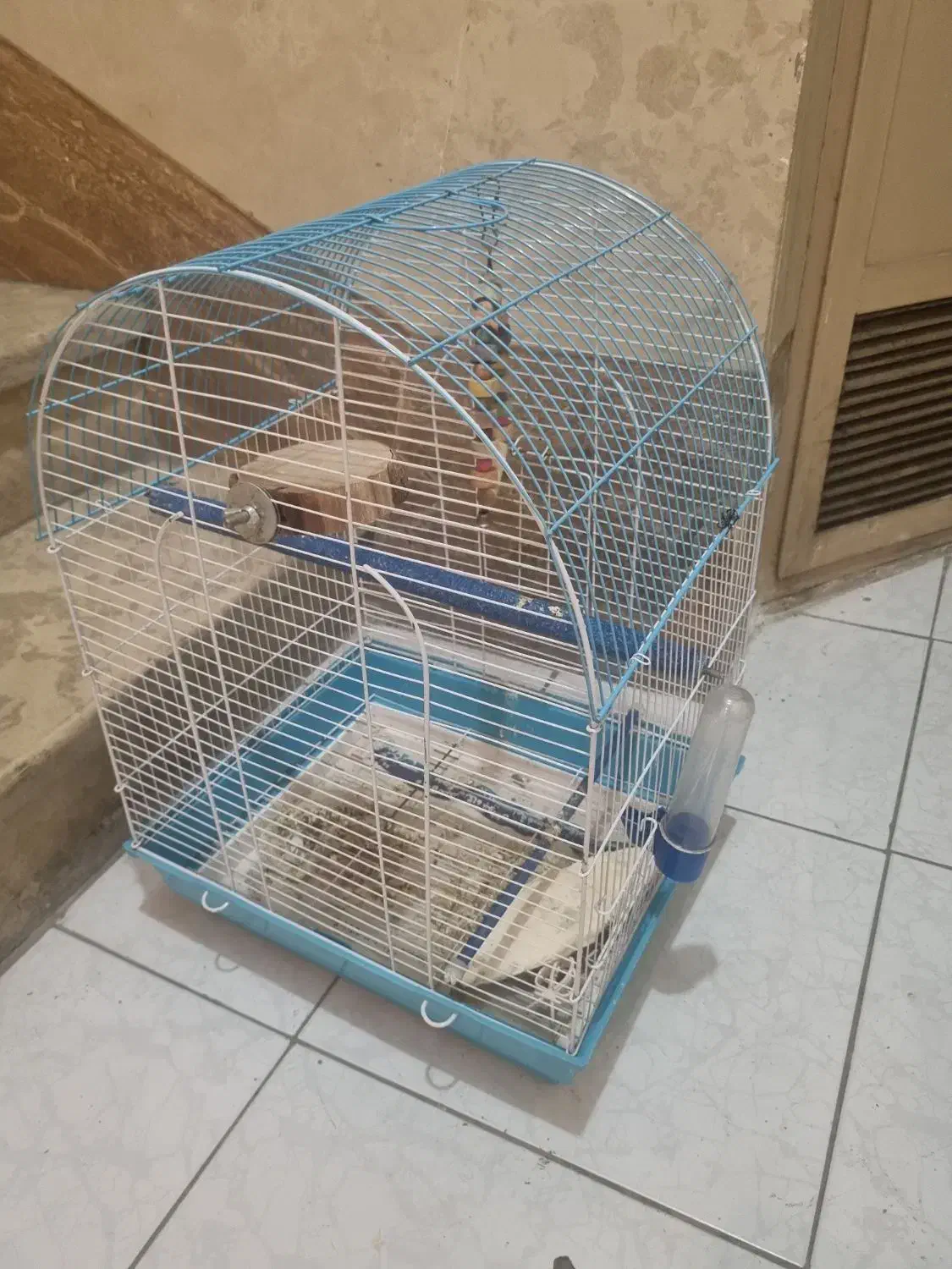 قفس عروس هلندی|لوازم جانبی حیوانات|تهران, چوب تراش|دیوار