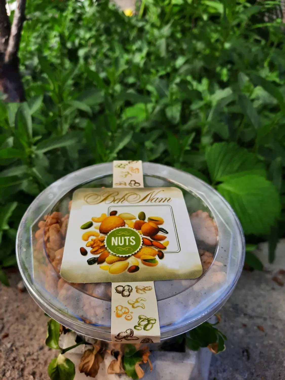 مغز گردو|خوردنی و آشامیدنی|تهران, مهران (سیدخندان)|دیوار