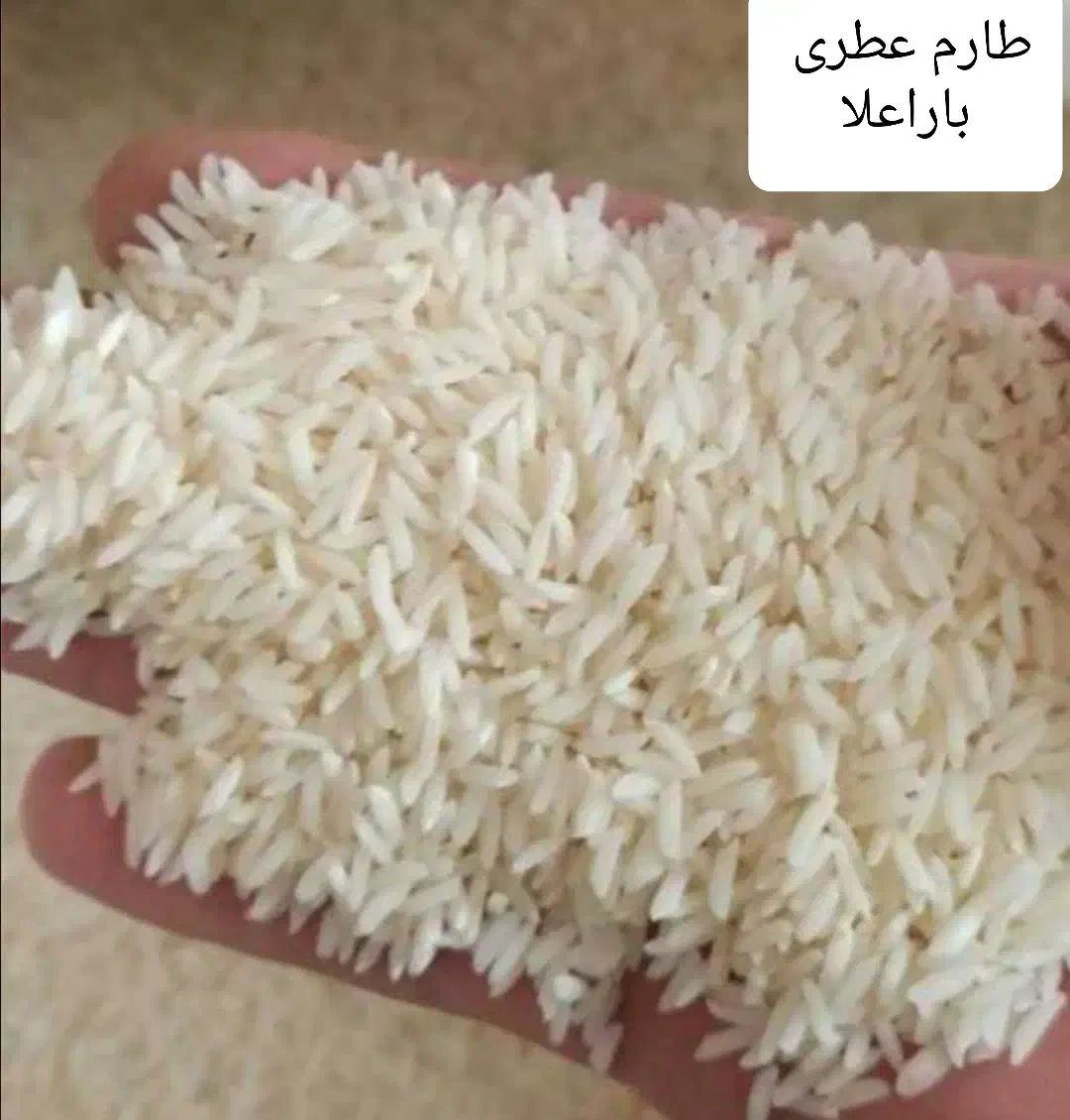 فروش برنج اعلا۱۷۵ به ضمانت ایرانی بودن|خوردنی و آشامیدنی|قم, مجیدیه|دیوار
