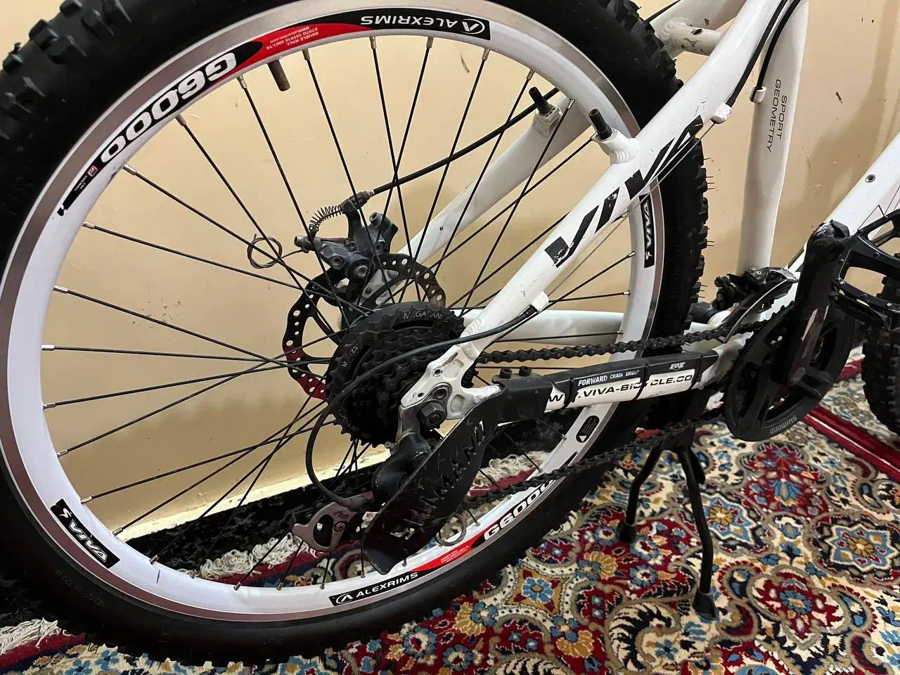 دوچرخه ویوا۲۶در حد|دوچرخه، اسکیت، اسکوتر|زابل, |دیوار