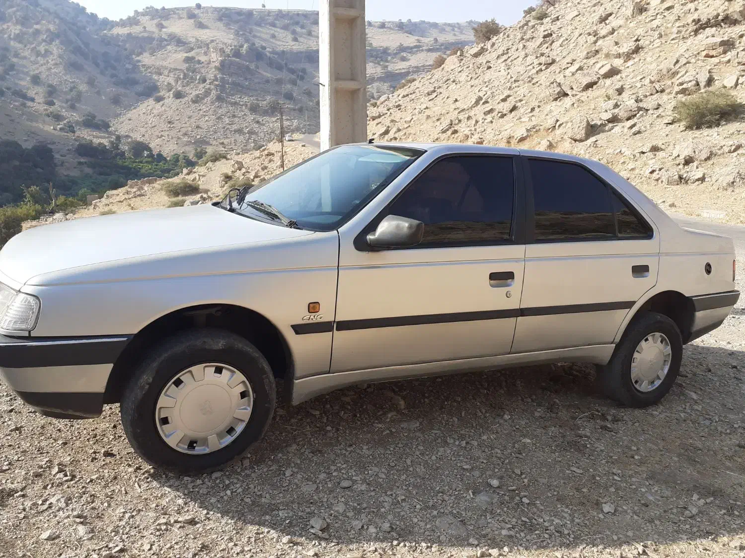 پژو ۴۰۵ دوگانه شرکتی|خودرو سواری و وانت|دزفول, |دیوار