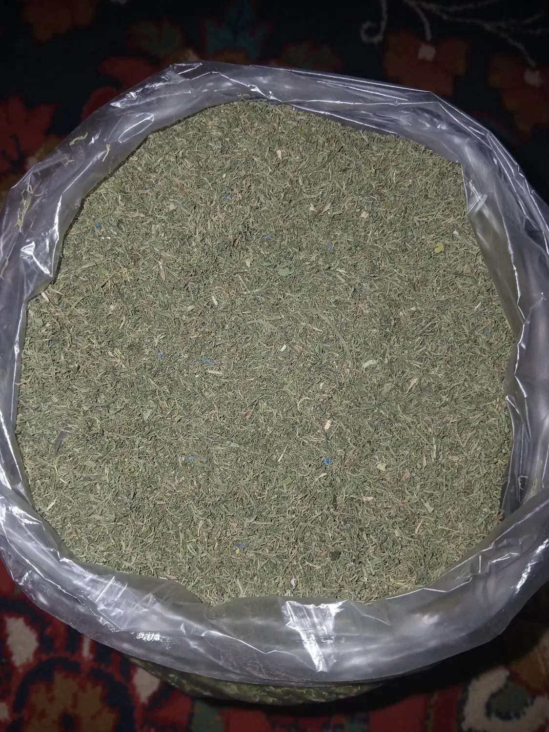 شوید خشک|خوردنی و آشامیدنی|معصومیه, |دیوار