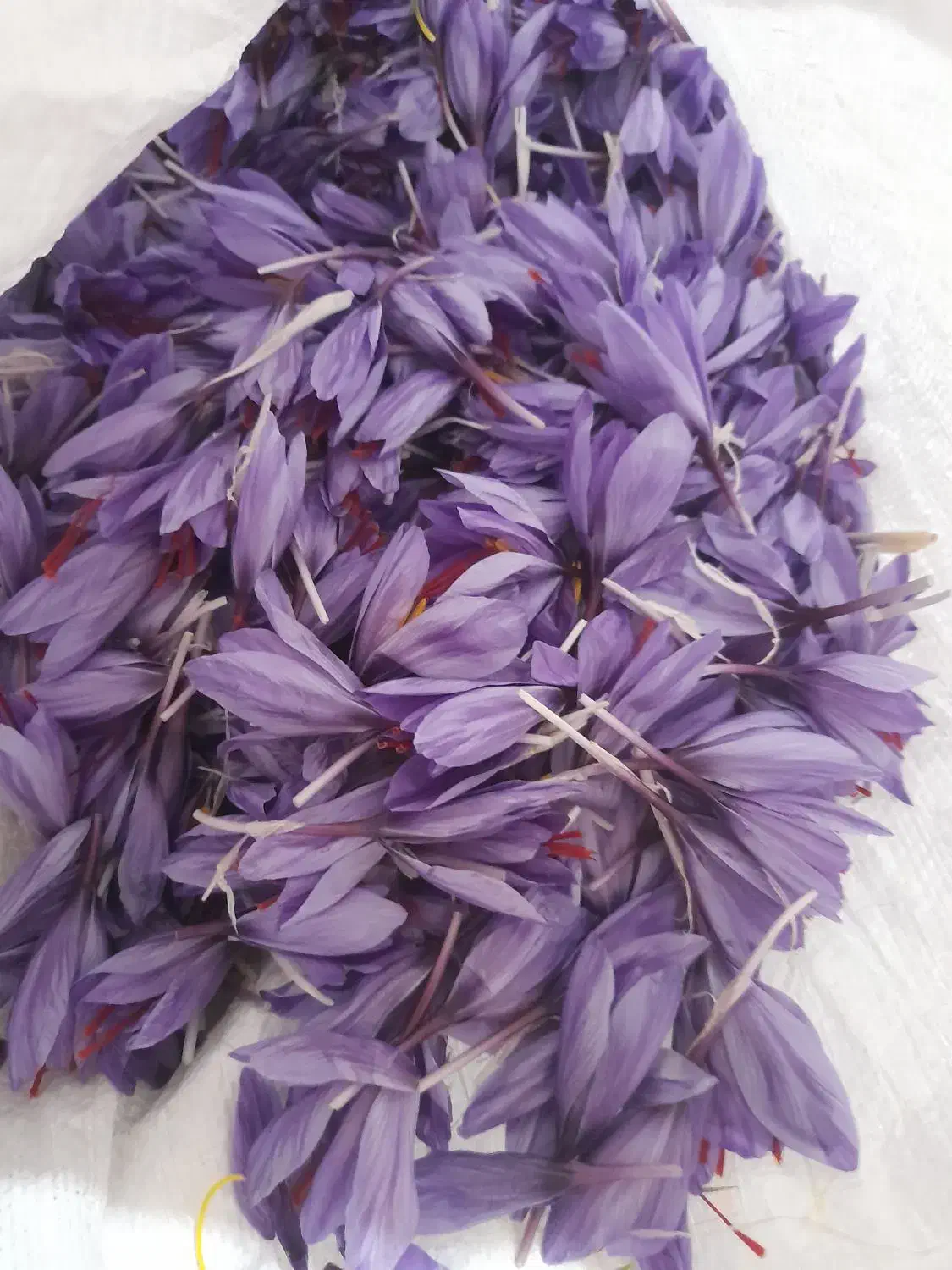 زعفران|عمدهفروشی|مینودشت, |دیوار