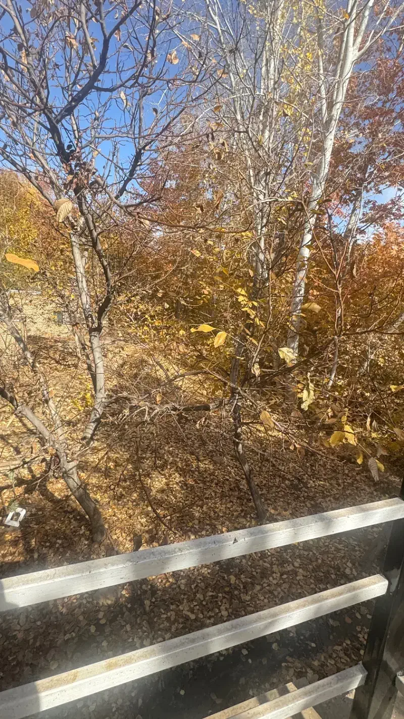 باغ در طبس|فروش زمین و ملک کلنگی|سبزوار, قصبه شرقی|دیوار