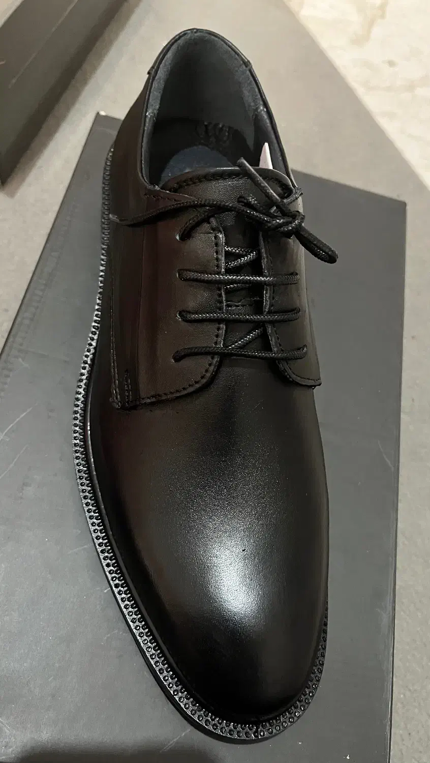 کفش|کیف، کفش، کمربند|نسیم‌شهر, |دیوار