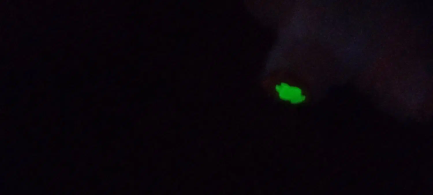 لبوبو|اسباب‌‌بازی|جیرفت, |دیوار