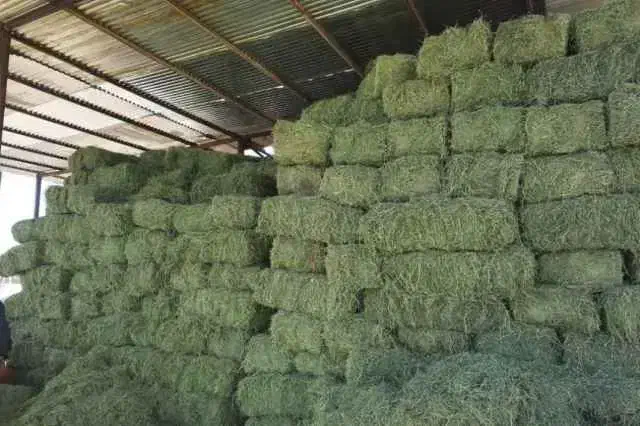 یونجه پربرگ|عمده‌فروشی|تهران, شهرک طالقانی|دیوار