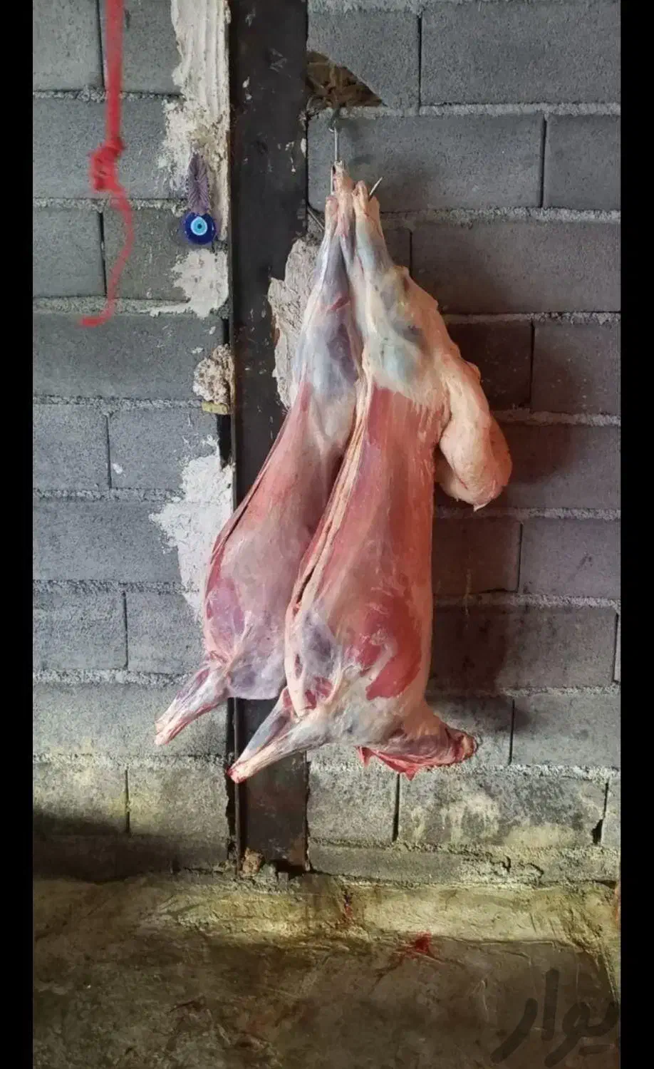 قصاب|خدمات پذیرایی، مراسم|کرمان, |دیوار