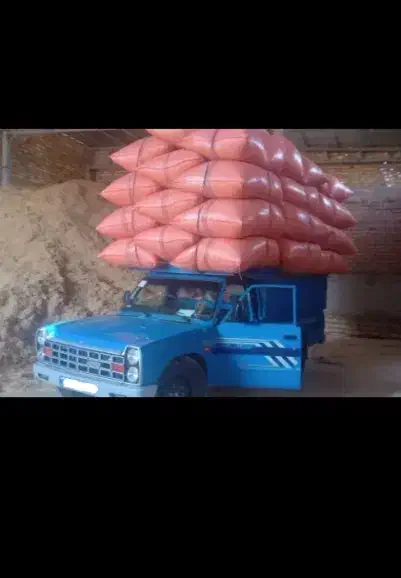 کاه گندم دیم|لوازم جانبی حیوانات|نظرآباد, نظرآباد|دیوار