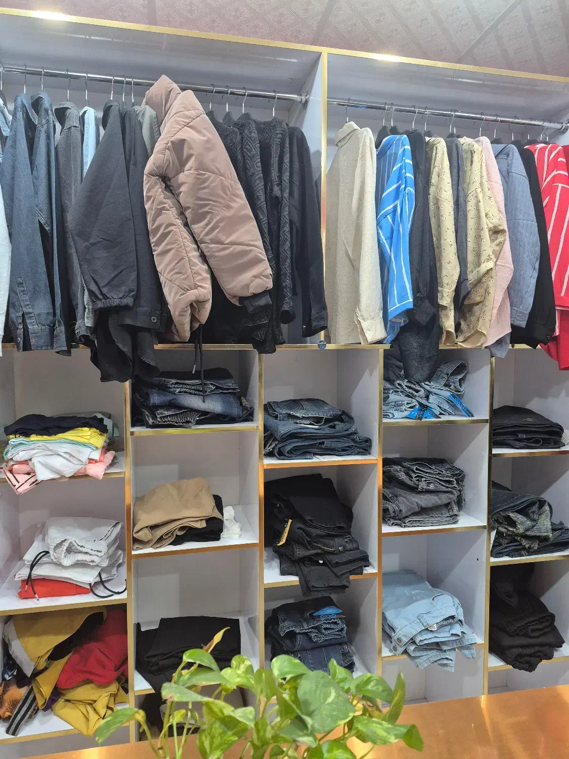 قفسه +رگال+۲مانکن|فروشگاه و مغازه|سیرجان, |دیوار