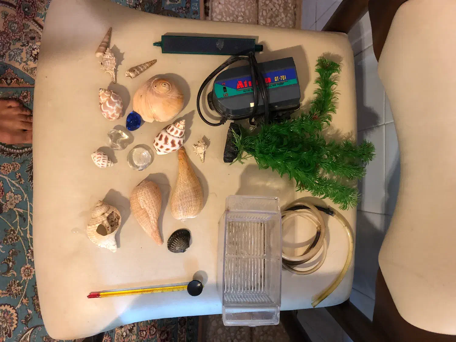 اکواریوم کامل اماده|ماهی|تهران, زعفرانیه|دیوار