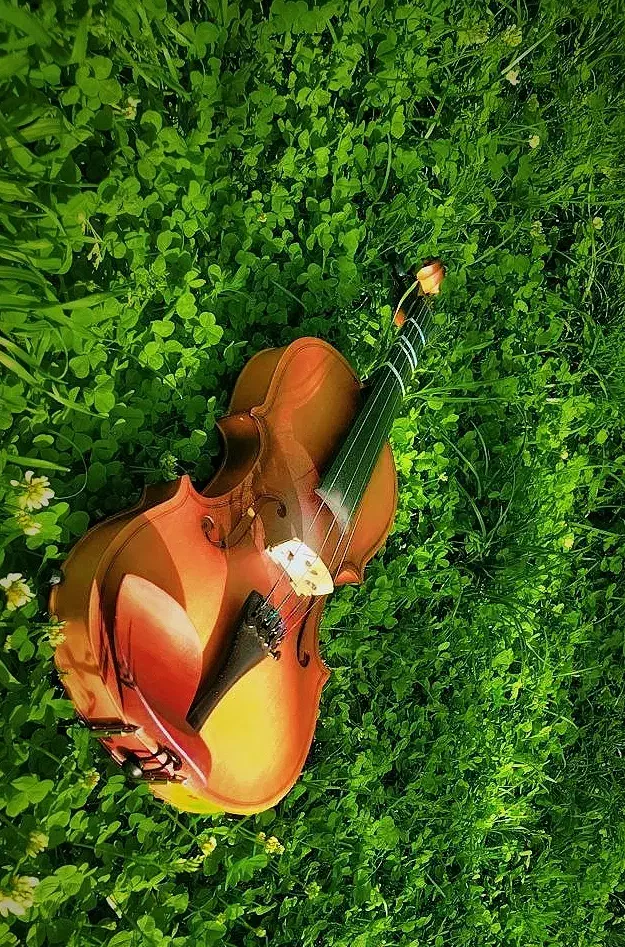 ویولن مدل VP104H|ویولن|سردشت, |دیوار