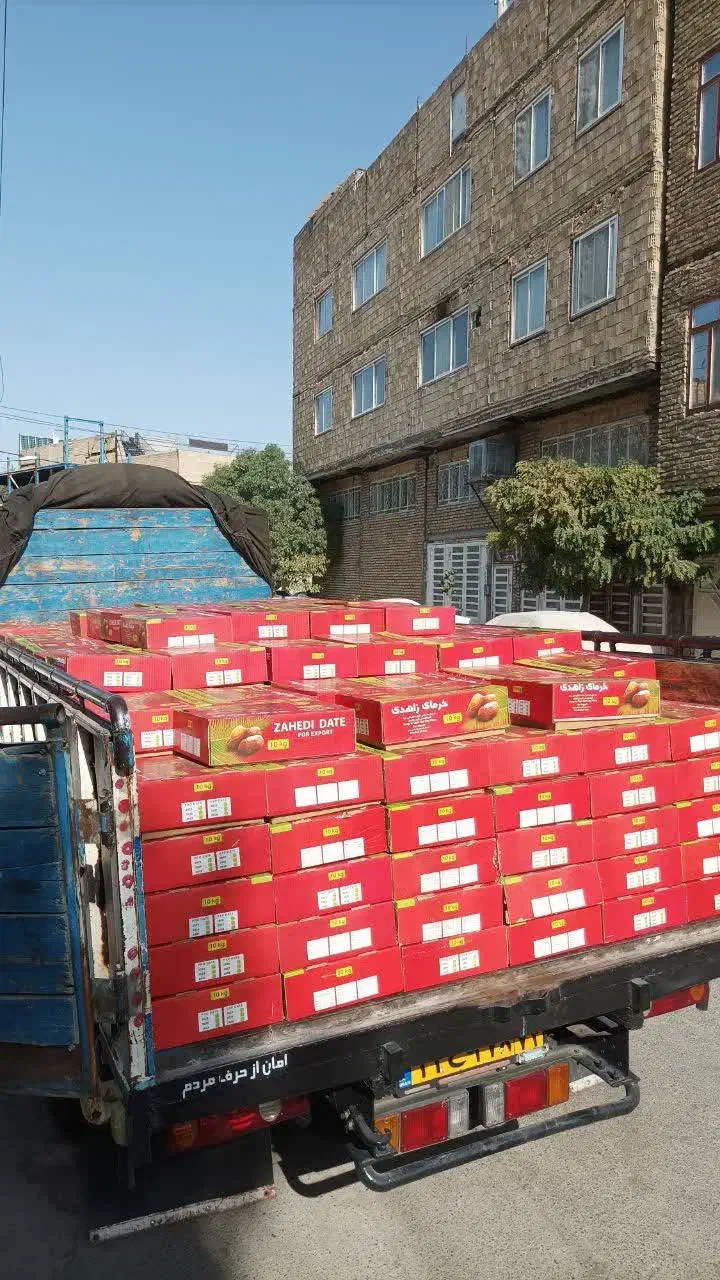 پخش انواع خرما رطب زاهدی و...|خوردنی و آشامیدنی|مشهد, ثامن|دیوار