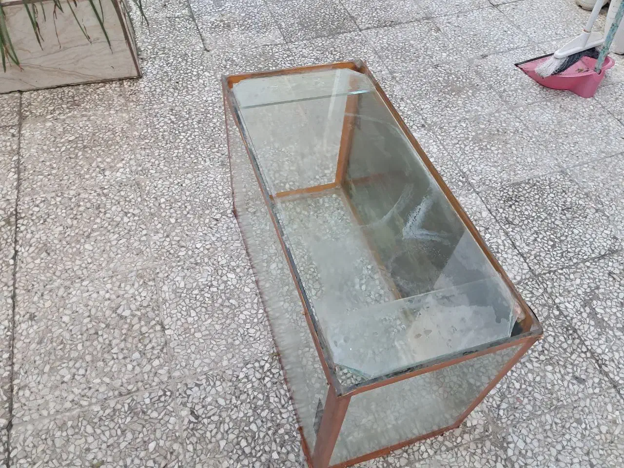 شیشه  آکواریوم|ماهی|رشت, فلسطین|دیوار