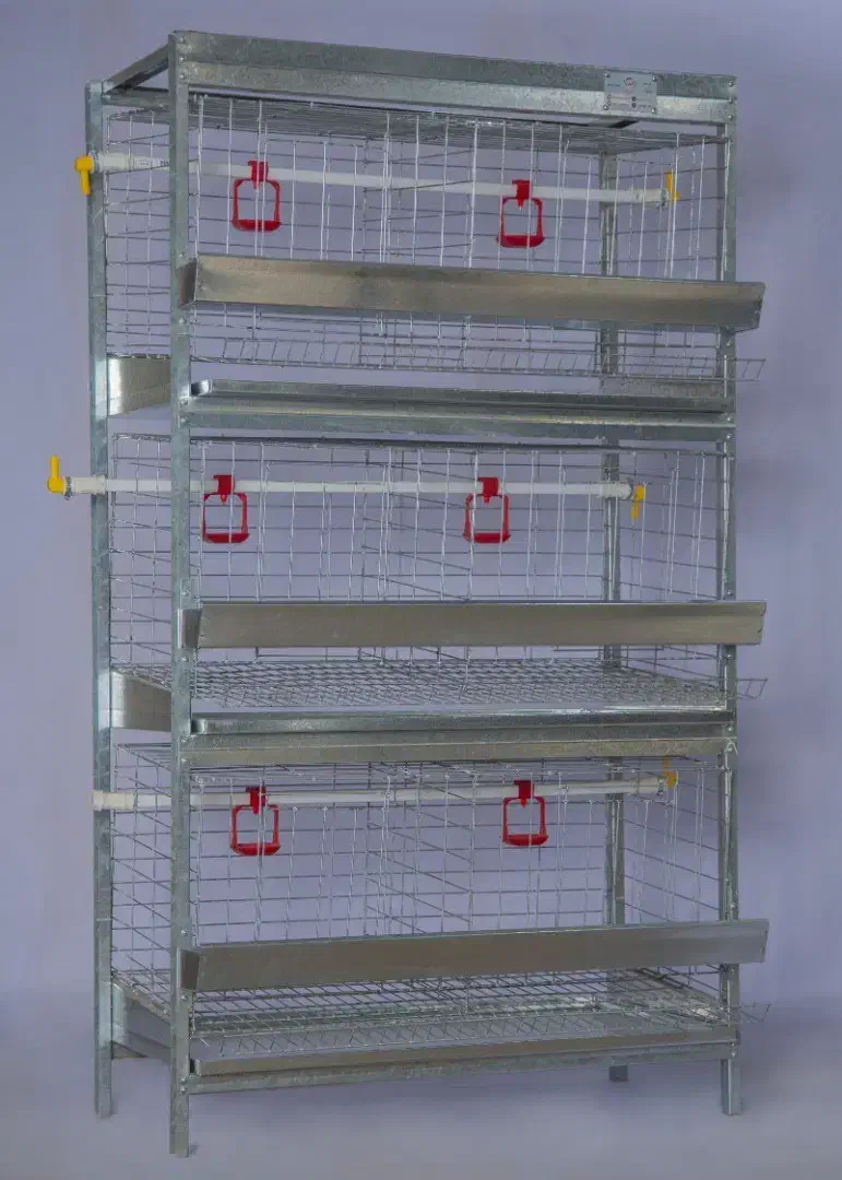 قفس مرغ تخمگذار و گوشتی|فروشگاه و مغازه|آق قلا, |دیوار