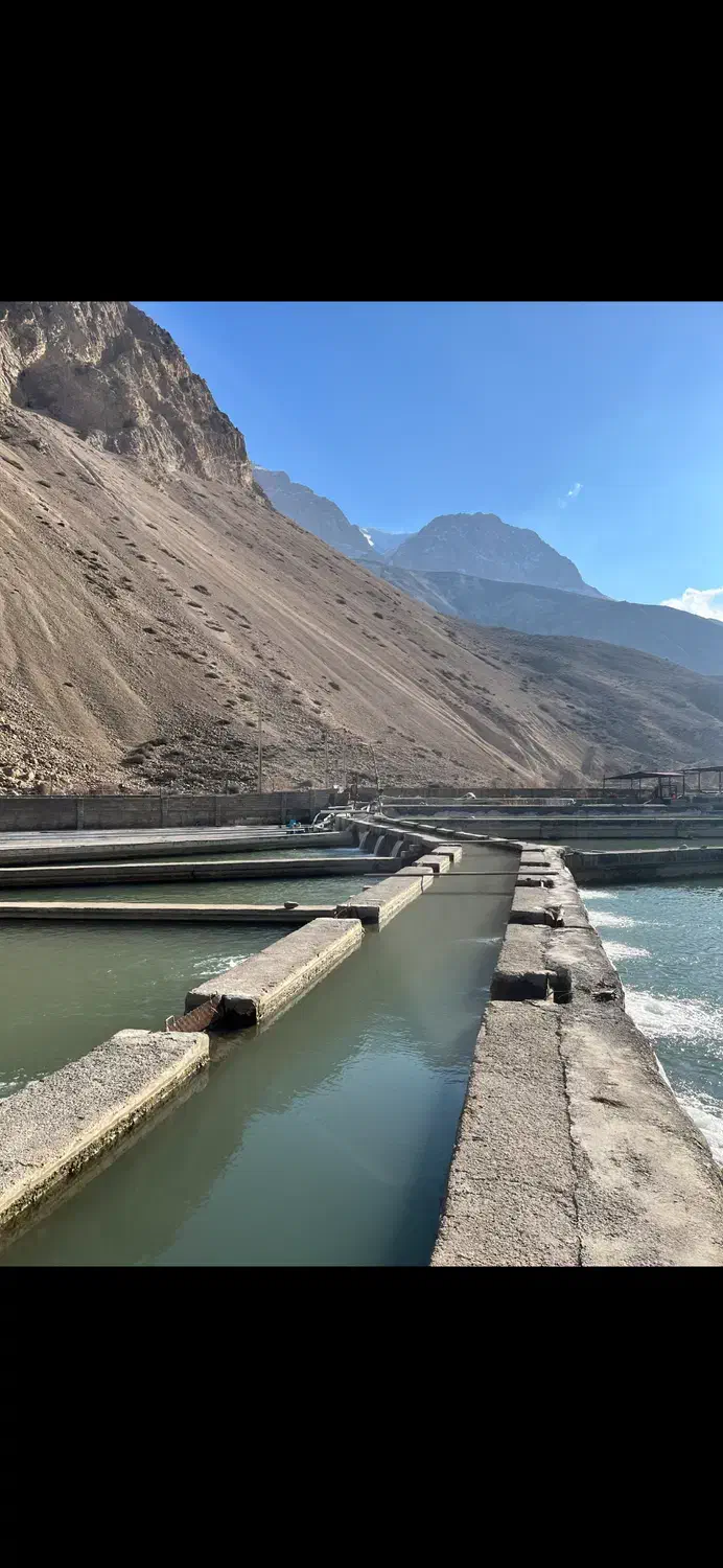 فروش پرورش ماهی با بهترین آب. هوا و لوکیشن|فروش دفتر صنعتی، کشاورزی، تجاری|رینه, |دیوار