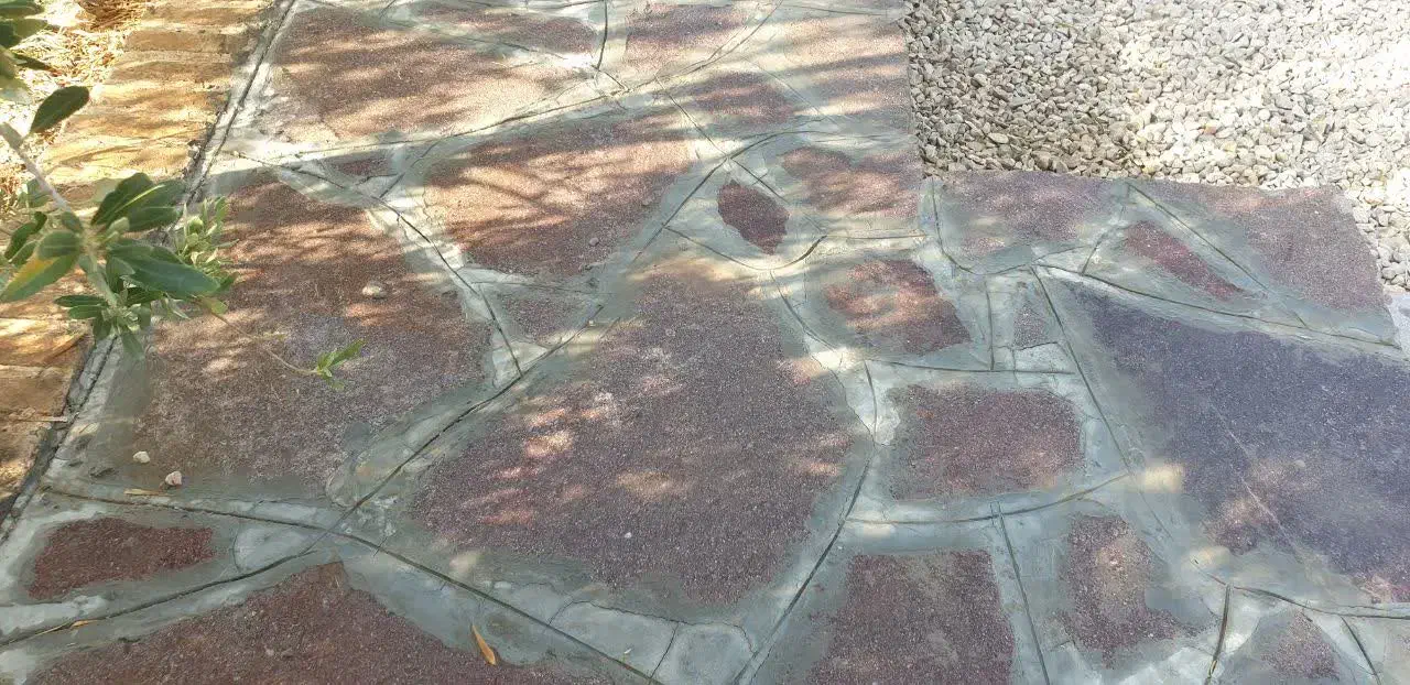 زمین مزروعی سند تک برگ ششدانگ|فروش زمین و ملک کلنگی|طبس, |دیوار