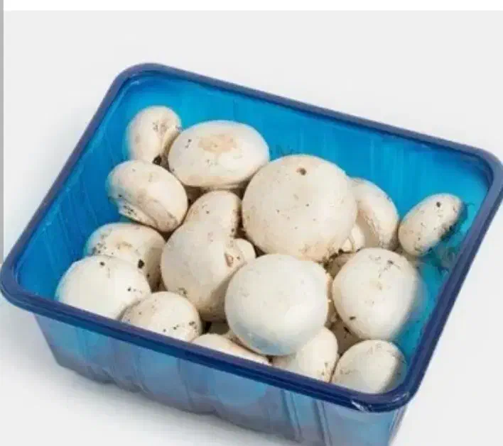 قارچ دکمه ای درجه ۱|عمده‌فروشی|بهبهان, |دیوار