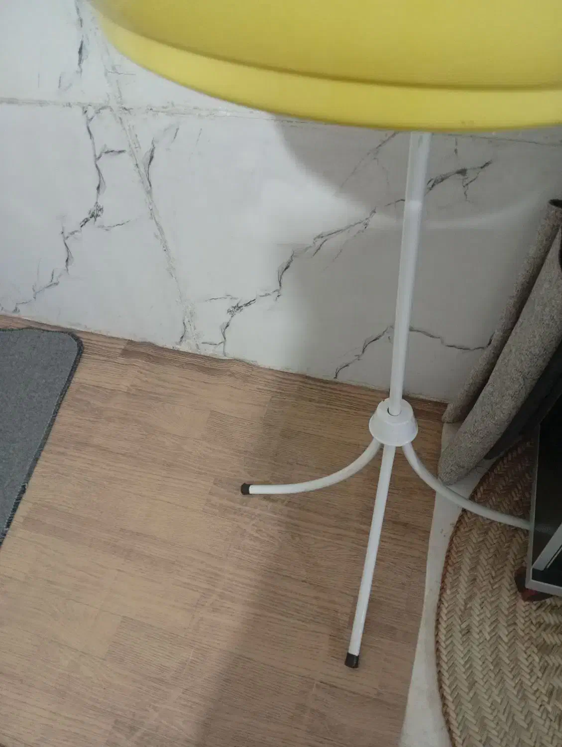 قفس|لوازم جانبی حیوانات|بم, |دیوار