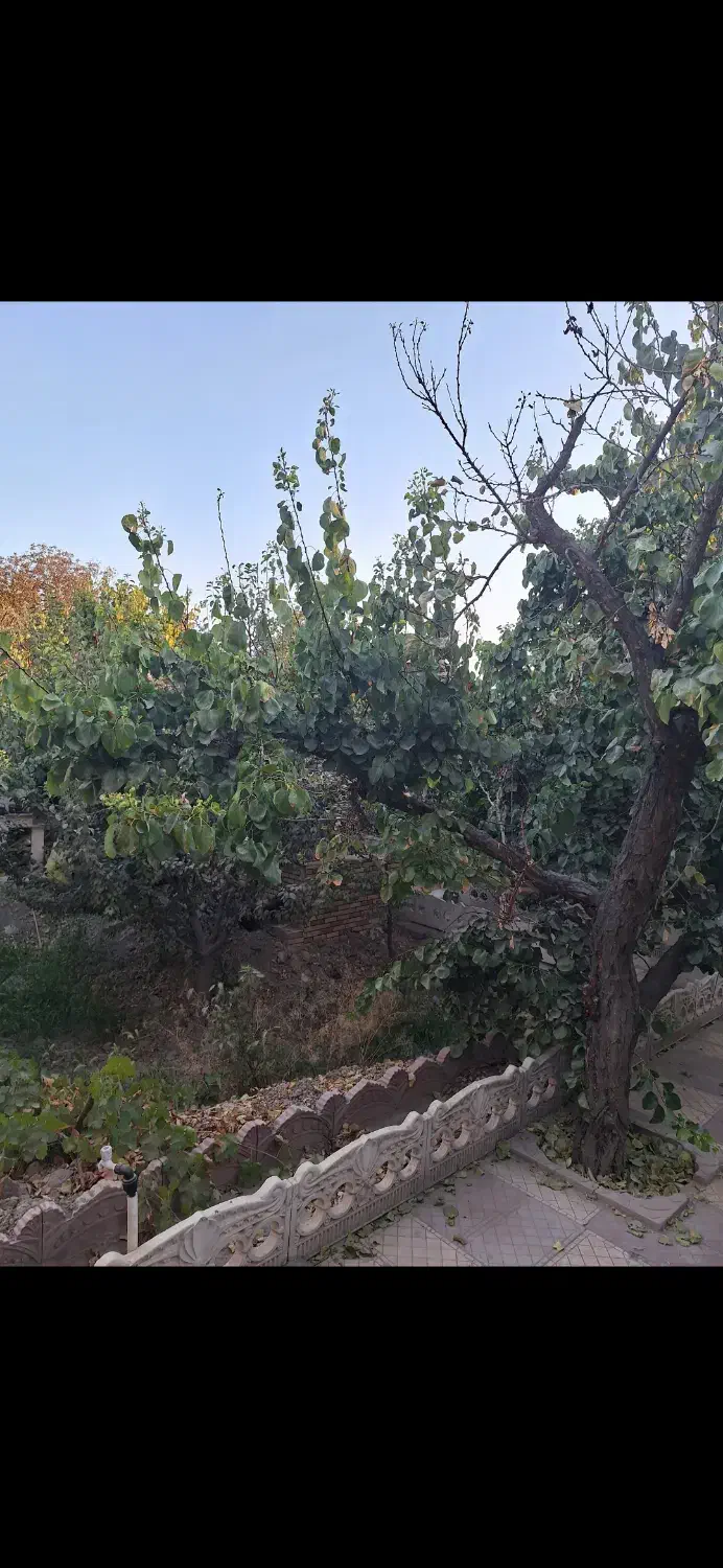 410 متر باغ ویلا فول امکانات|فروش خانه و ویلا|فردوسیه, |دیوار