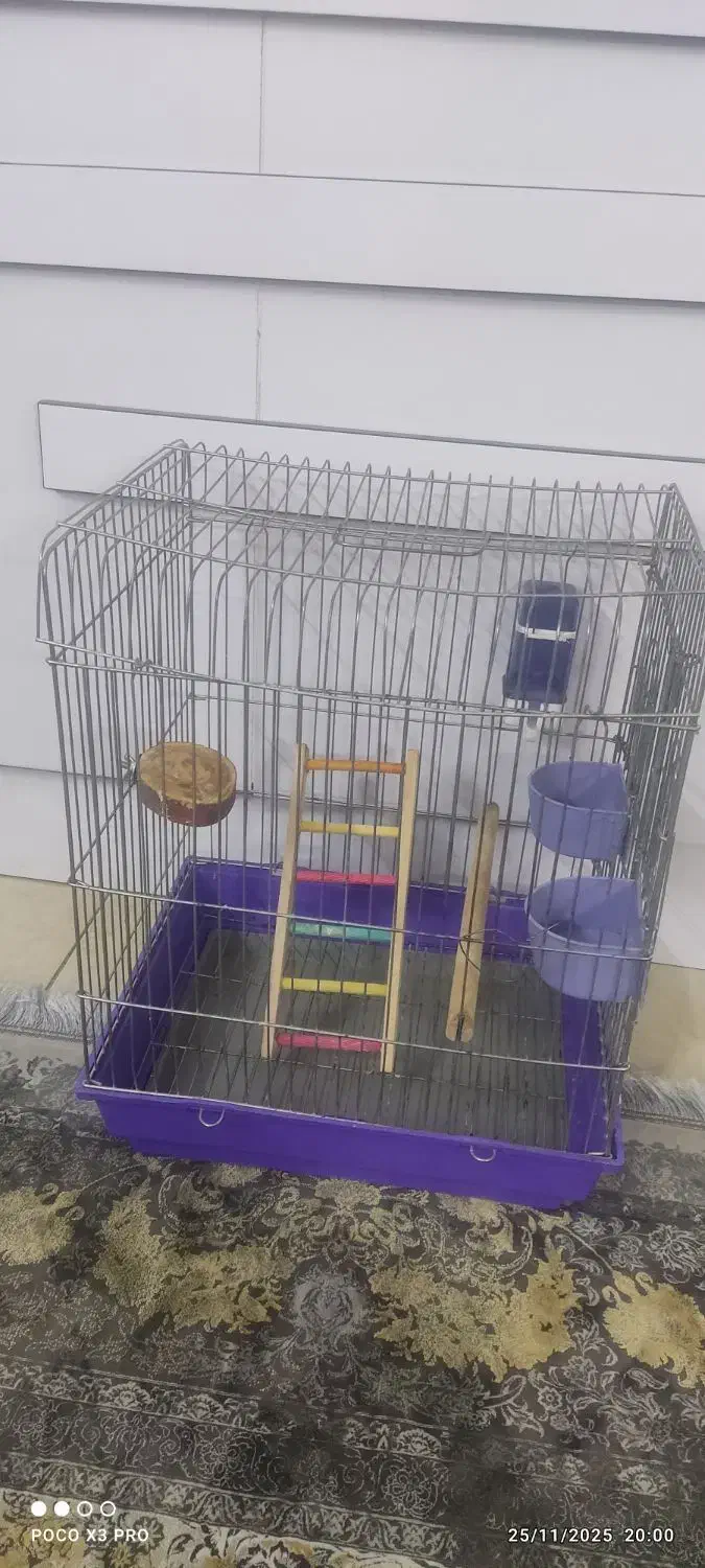 قفس پرنده|لوازم جانبی حیوانات|پاکدشت, شهرک امام رضا|دیوار