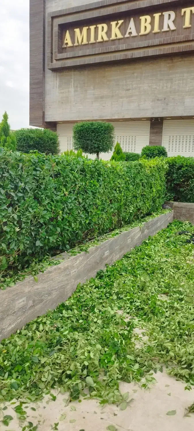 علف تراشی هرس وسمپاشی قطع درخت|خدمات باغبانی و درختکاری|خرمآباد (تنکابن), |دیوار