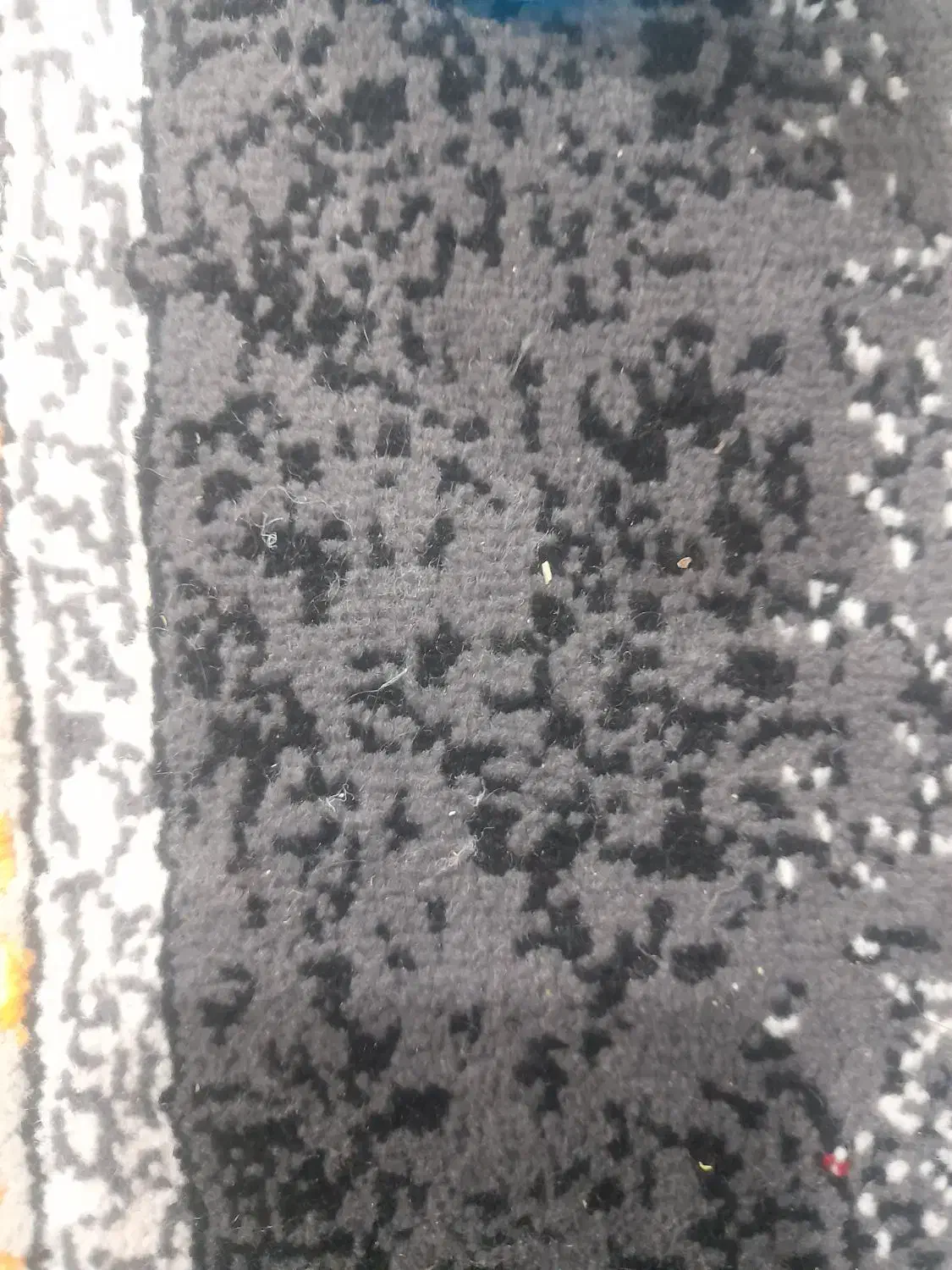 گمشده|کیف، کفش، کمربند|نورآباد, |دیوار