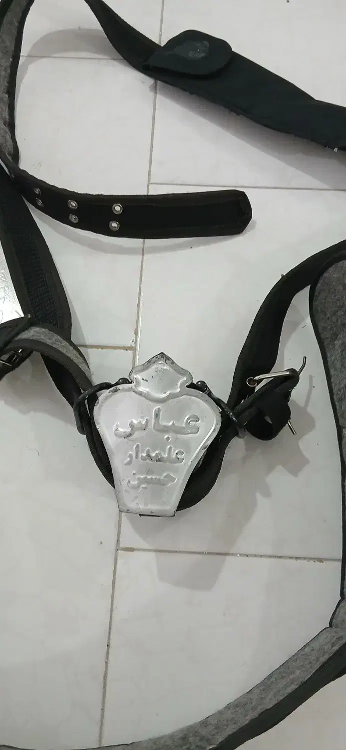 هیکلی علم کشی|کیف، کفش، کمربند|بندر انزلی, نیمه شعبان|دیوار