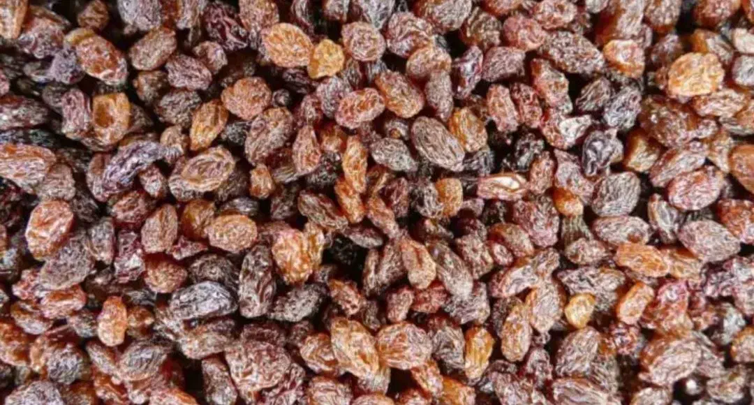 ممیز درجه ۱|خوردنی و آشامیدنی|سبزوار, قلعه‌نو دهزار|دیوار