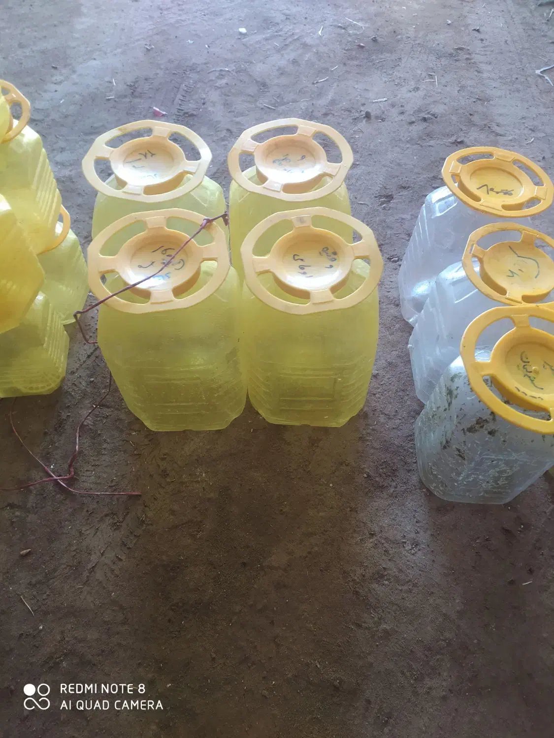 دبه ترشی|ظروف نگهدارنده، پلاستیکی، یک‌بارمصرف|بستان آباد, |دیوار