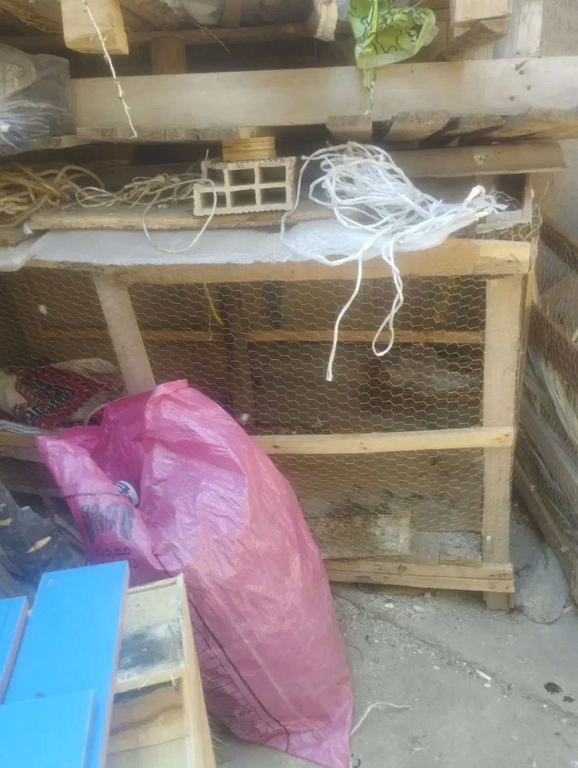 قفس|لوازم جانبی حیوانات|برازجان, |دیوار