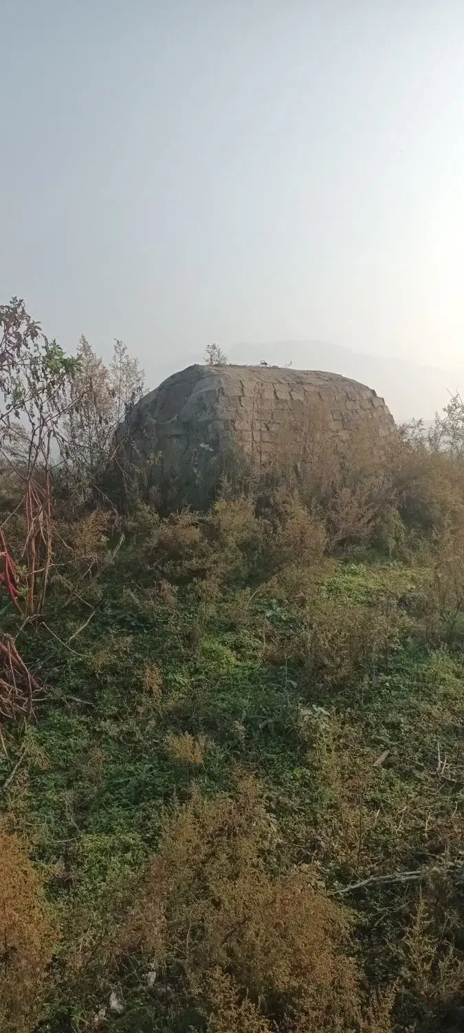 اجاره کوره ذغال و استخر ماهی|اجارهٔ دفتر صنعتی، کشاورزی، تجاری|سنگر, |دیوار