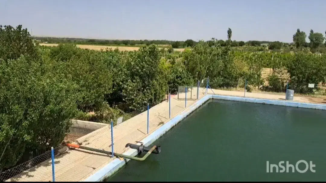 مشارکت در احداث گلخانه|اجارهٔ دفتر صنعتی، کشاورزی، تجاری|ضیاء آباد, |دیوار