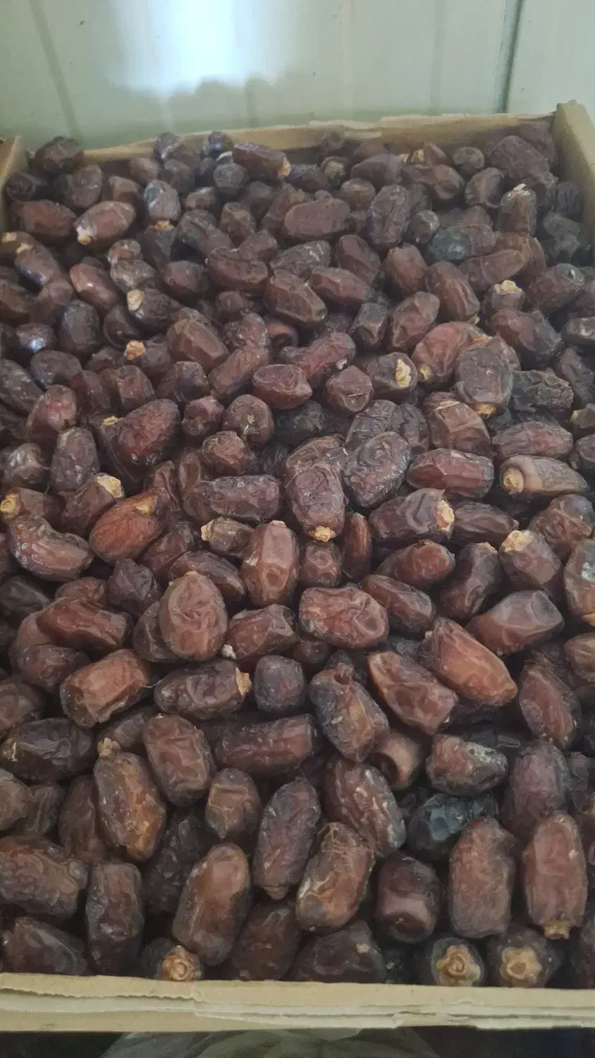 خرما|خوردنی و آشامیدنی|بلده, |دیوار