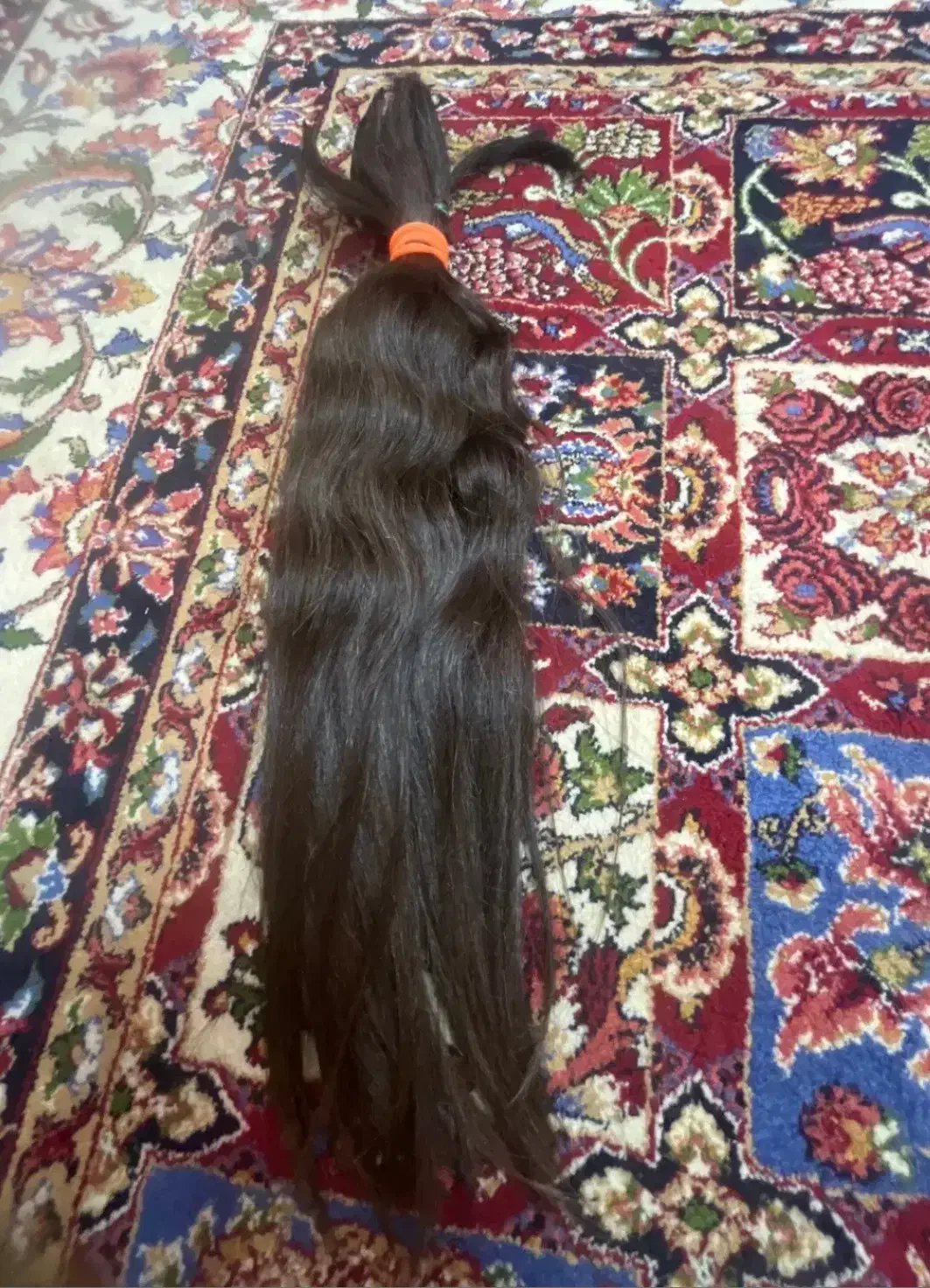 موی ۵۰سانتی بکر|آرایشی، بهداشتی، درمانی|اصفهان, پوریای ولی|دیوار