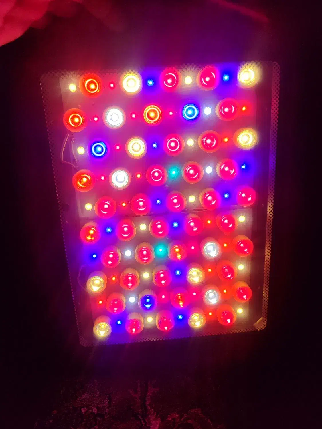 لامپ رشد گیاه|لامپ و چراغ|مشهد, ایثارگران|دیوار