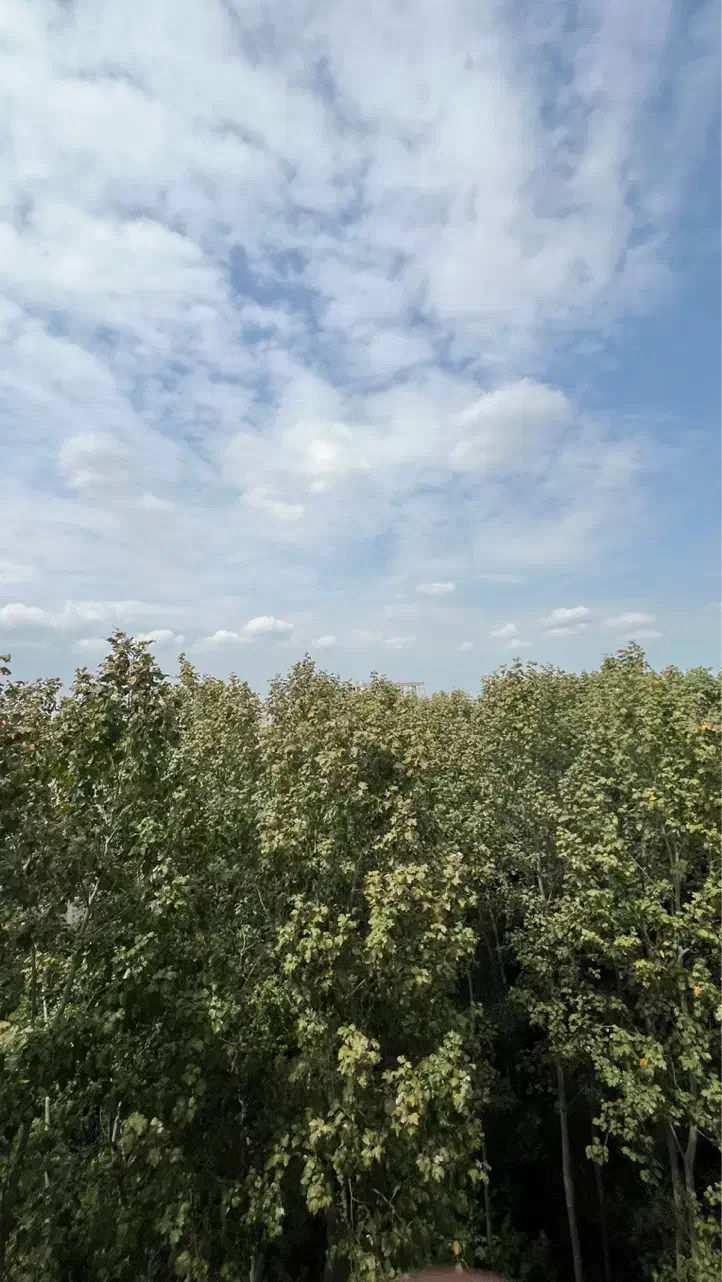 واحد 186متری دو قدمی استخر لاهیجان|اجارهٔ آپارتمان|لاهیجان, کوی خزر|دیوار