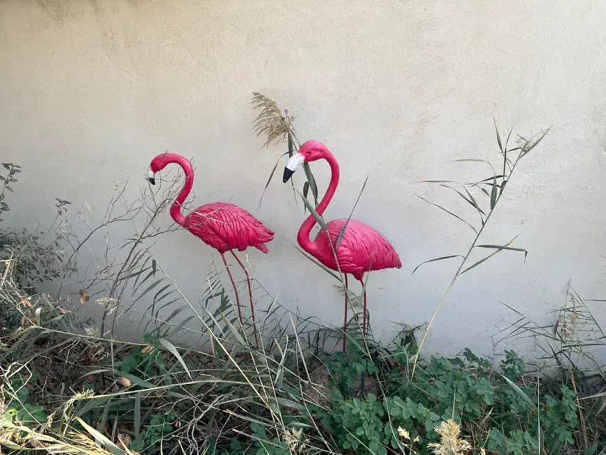 مجسمه و آبنما برای باغ|مصالح و تجهیزات ساختمان|تهران, جنتآباد شمالی|دیوار